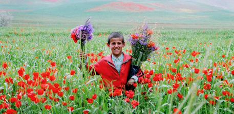 میله گل سرخ , افغان تراول afghantravelaf